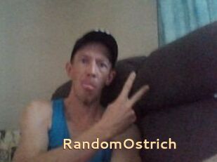 RandomOstrich