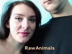 RawAnimals