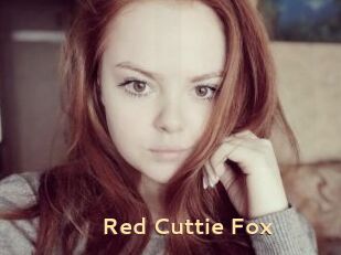 Red_Cuttie_Fox