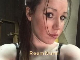 ReemNumi