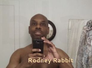 Rodney_Rabbit