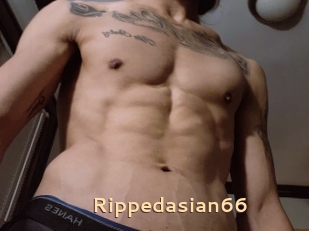 Rippedasian66