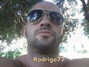 Rodrigo77