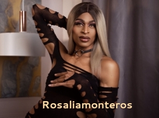 Rosaliamonteros