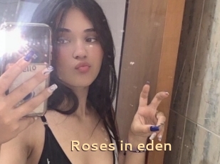 Roses_in_eden