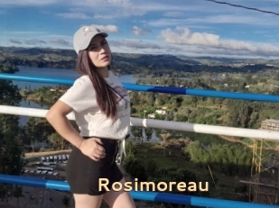 Rosimoreau