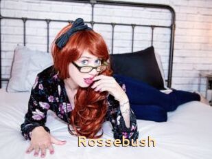 Rossebush