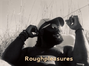 Roughpleasures