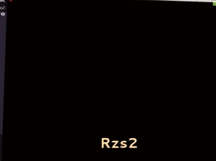 Rzs2