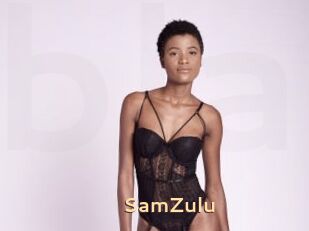 SamZulu