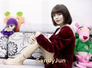 SandyJun