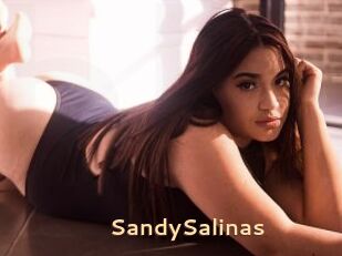 SandySalinas