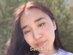 SaniLink