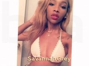 Savannah_Grey