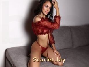 Scarlet_Jay