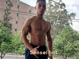 Sensei_hot