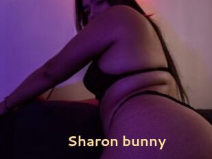 Sharon_bunny