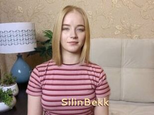 SilinBekk