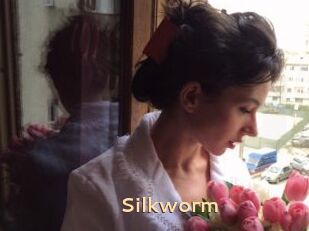 Silkworm