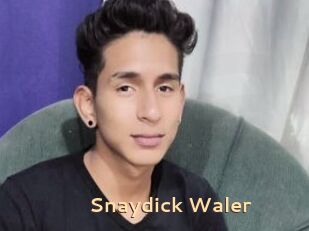 Snaydick_Waler