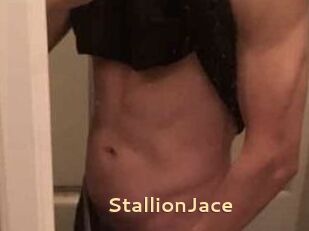 StallionJace