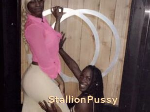 StallionPussy