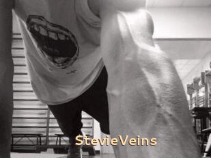 StevieVeins