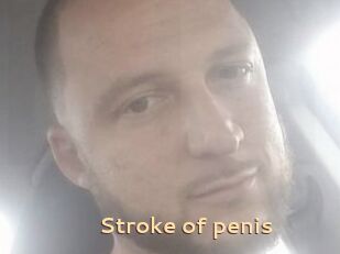 Stroke_of_penis