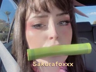 Sakurafoxxx