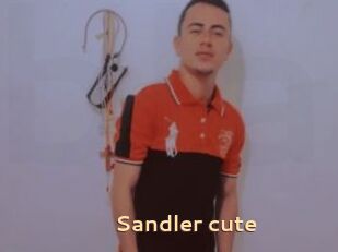 Sandler_cute