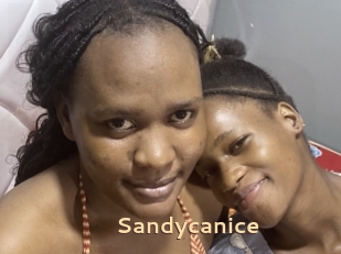 Sandycanice