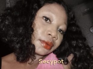 Secypot