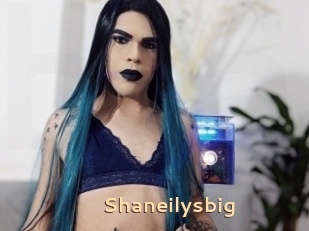 Shaneilysbig