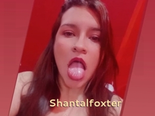 Shantalfoxter