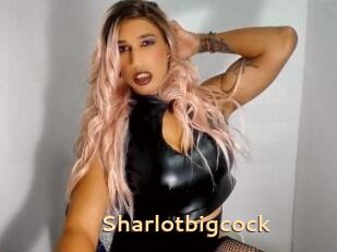 Sharlotbigcock