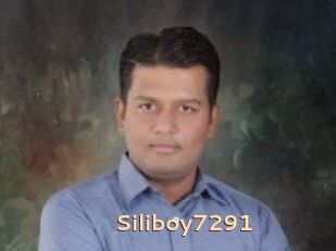 Siliboy7291