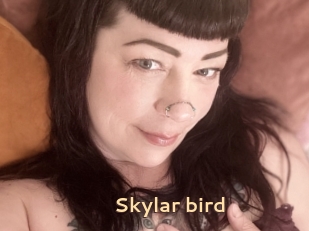 Skylar_bird