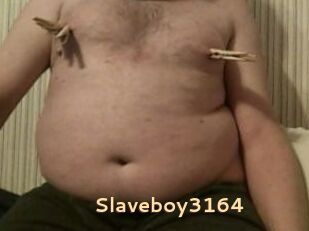 Slaveboy3164