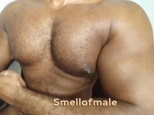 Smellofmale