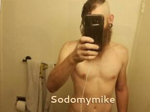 Sodomymike