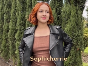 Sophicherrie