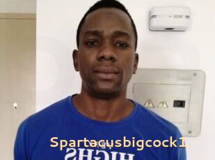 Spartacusbigcock1