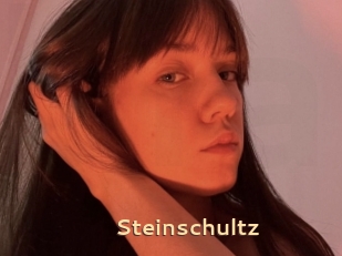 Steinschultz