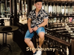 Stevebunny