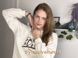 Synnovebevis