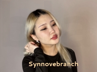 Synnovebranch