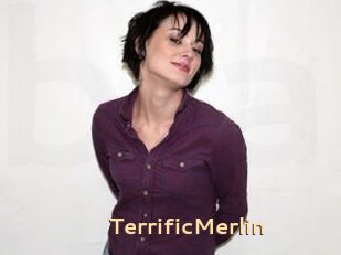 TerrificMerlin