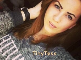 TinyTess