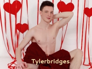 Tylerbridges