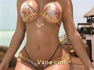 Vane_cum